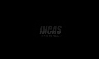 incas