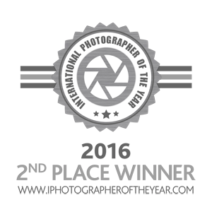 silver Award 2016